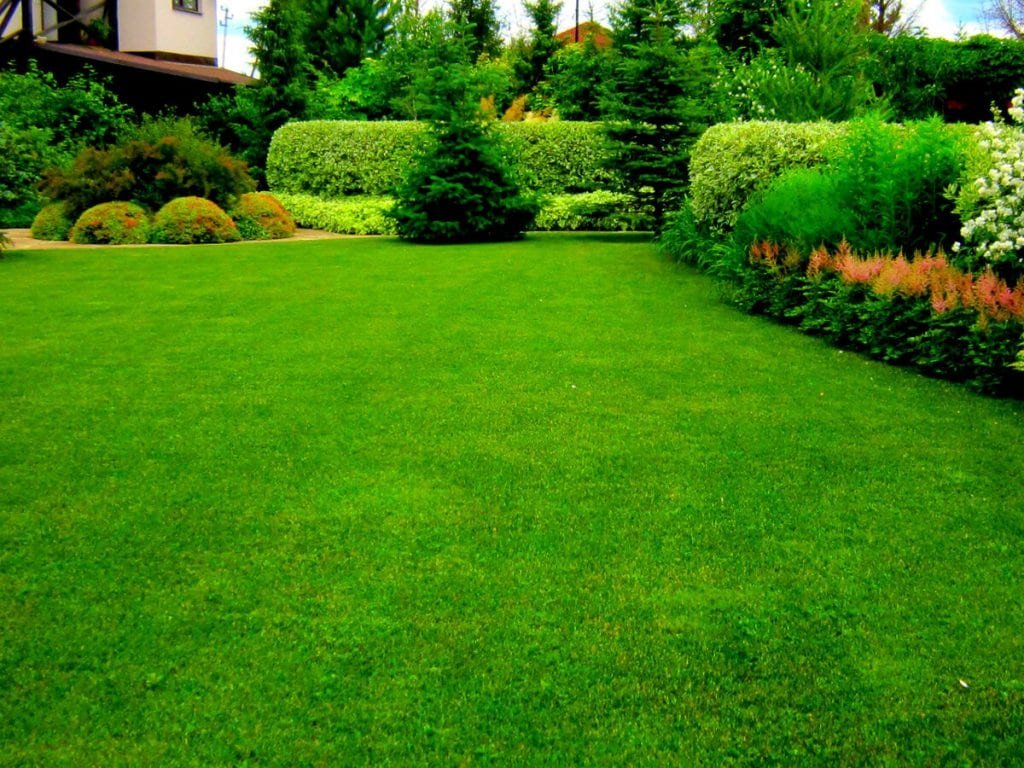 Benefits of Artificial Grass Abu Dhabi in Residential and Commercial properties