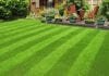 Artificial Grass Abu Dhabi - An Ideal Choice for Commercial Areas and Residential Areas