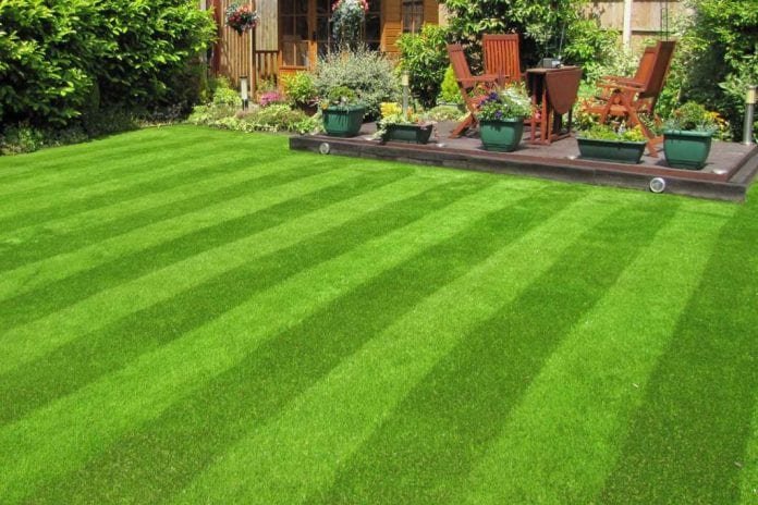 Artificial Grass Abu Dhabi - An Ideal Choice for Commercial Areas and Residential Areas