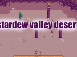 Things you don't know about "Stardew Valley Desert."