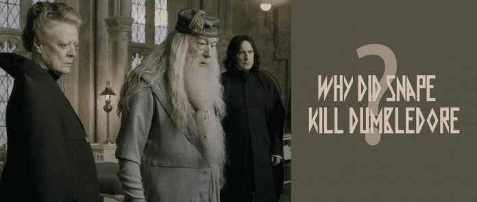 Are you interested to know why did Snape kill Dumbledore infamous Harry potter series?