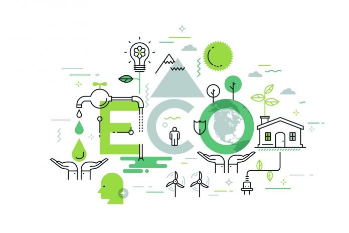 Eco-friendly and Money-Smart Solutions for Young Businesses