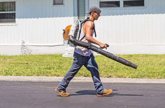 Leaf Blower vs Rake: Which Is Better?