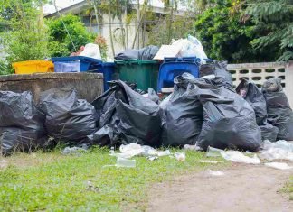 How to Choose Junk Removal Services: Everything You Need to Know Junk Removal Services