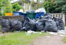 Ways to Improve Cardiovascular Health Cardiovascular