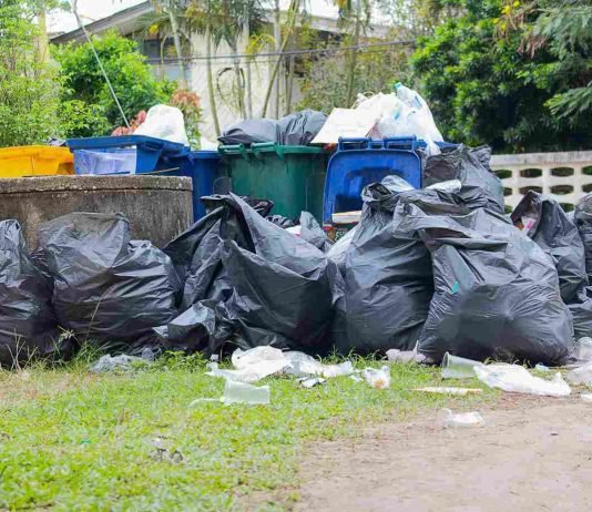 Ways to Improve Cardiovascular Health Cardiovascular