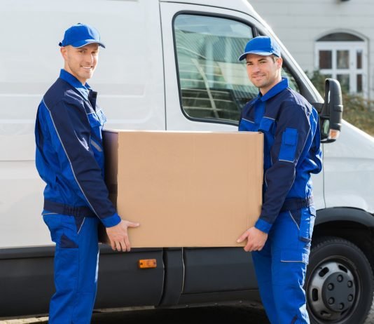 5 Reasons to Hire a Professional Moving Team 5 Reasons to Hire a Professional Moving Team