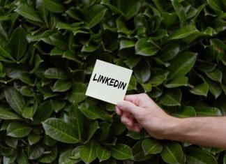 Are You More Likely to Get a Job with a Resume? Resume