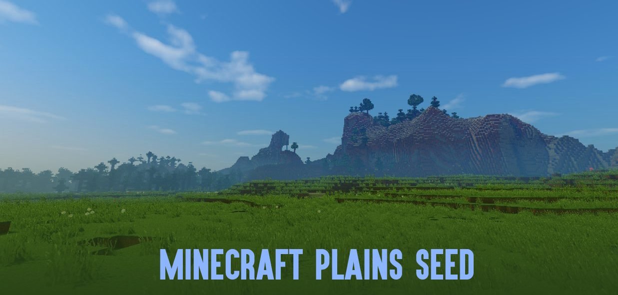 Minecraft plains seeds what are their functions in the game?