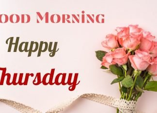 Inspire yourself with Thursday Motivational Quotes Inspire yourself with Thursday Motivational Quotes