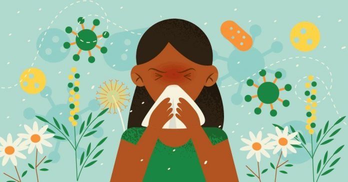 Hay Fever Symptoms: What Is It and How to Deal with It