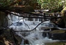 Things to Do on a Weekend in Saluda Weekend in Saluda