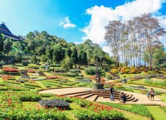 Debunking the Most Common Landscaping Myths That Exist Today