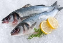 Tips for Buying Fish Online in Singapore Fish Online