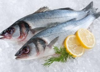Tips for Buying Fish Online in Singapore Fish Online