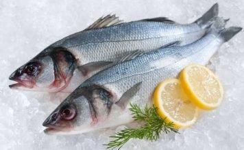 Tips for Buying Fish Online in Singapore Fish Online
