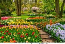 Effective Strategies to Refresh Your Landscape Landscape