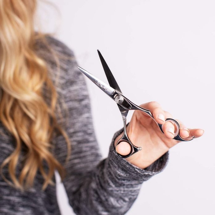 Hair Scissors