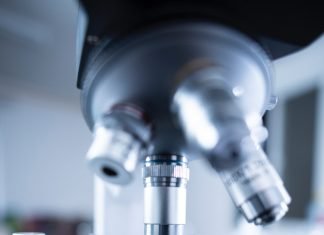 Differences between antigen test and antibody test. Antibody test