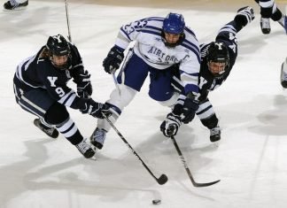 Top Players in the NHL