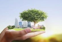 How to Make Your Business More Sustainable and Environment Friendly Business