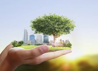 How to Make Your Business More Sustainable and Environment Friendly Business