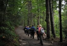 Trails Carolina: How Parents Can Help Their Teens with Mental Health Struggles Mental Health Struggles