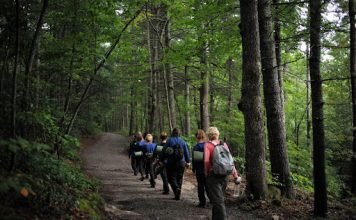 Trails Carolina: How Parents Can Help Their Teens with Mental Health Struggles Mental Health Struggles