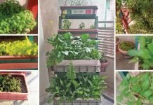 10 Unique Gardening Ideas That’ll Spruce Up Your Yard Gardening