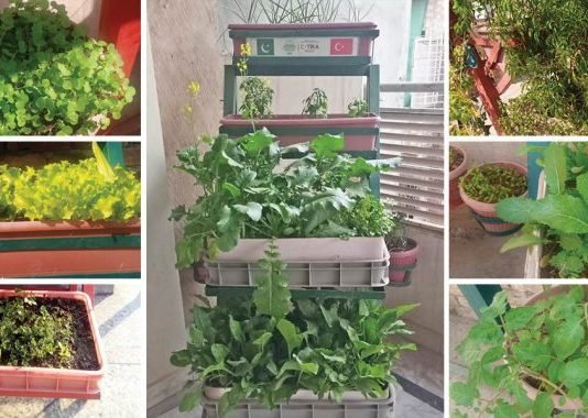 10 Unique Gardening Ideas That’ll Spruce Up Your Yard Gardening