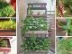 10 Unique Gardening Ideas That’ll Spruce Up Your Yard Gardening