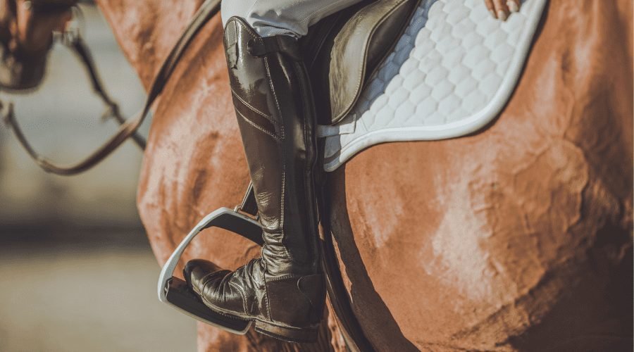 9 Reasons Why Horse Accessories are Important