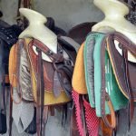 9 Reasons Why Horse Accessories are Important Horse Accessories