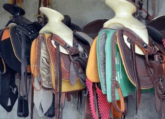 9 Reasons Why Horse Accessories are Important Horse Accessories