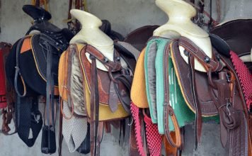 9 Reasons Why Horse Accessories are Important Horse Accessories