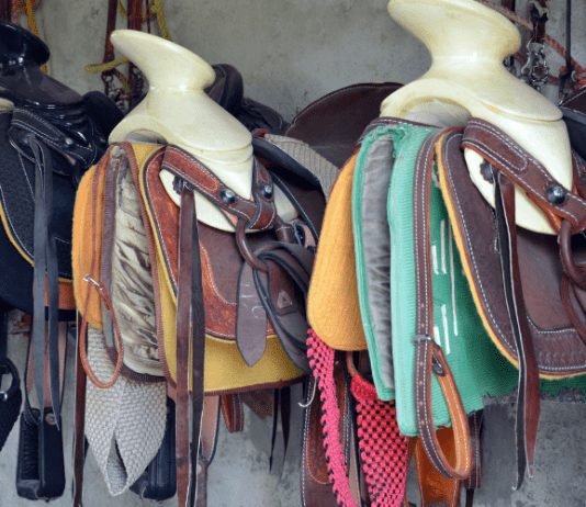 9 Reasons Why Horse Accessories are Important Horse Accessories