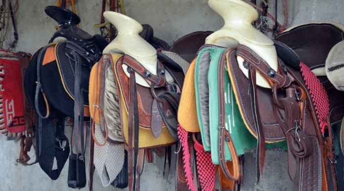 Horse Accessories