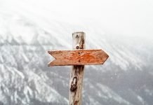 How Can Decision Trees Arm You To Make The Right Choice? Decision Trees