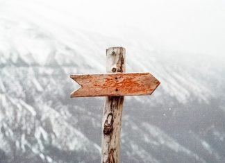 How Can Decision Trees Arm You To Make The Right Choice? Decision Trees