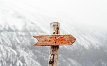 How Can Decision Trees Arm You To Make The Right Choice? Decision Trees