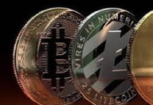 Recent Bitcoin Crashes- Why You Should Worry Recent Bitcoin Crashes- Why You Should Worry