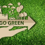 Live Green & clean