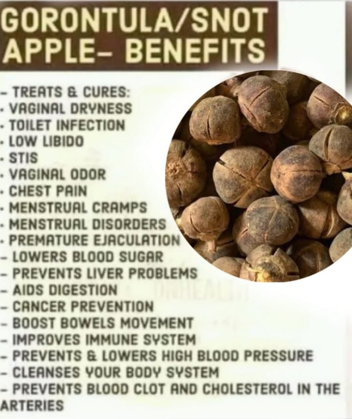 Gorontula Fruits Benefits