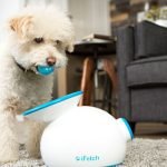 New and Trendy Pet care products by HiPet Pet