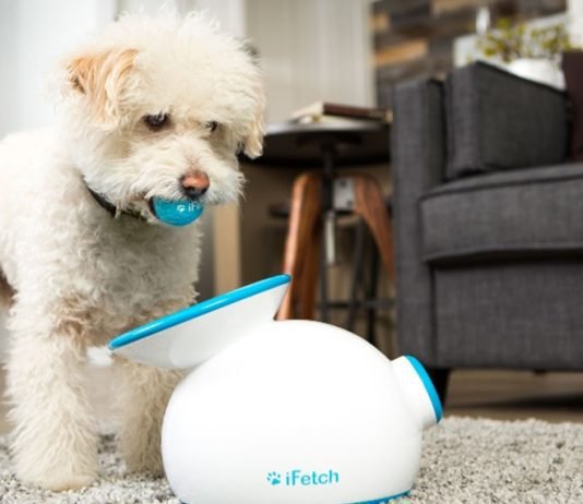 New and Trendy Pet care products by HiPet Pet