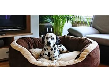 Pet beds for young delicate pets by HiPet Pet