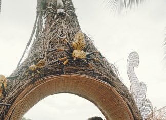 Capturing Magical Moments: Tips for Hiring a Cancun Wedding Photographer Cancun Wedding Photographer