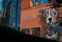 10 Essential Exterior Painting Tips to Refresh Your Home Exterior Painting Tips