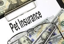 Pet Insurance: Your Guide to Avoiding Pet Healthcare Scams Pet Insurance