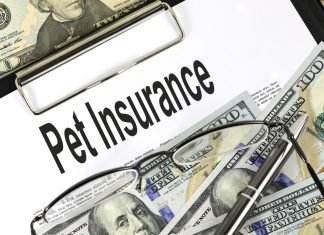 Pet Insurance: Your Guide to Avoiding Pet Healthcare Scams Pet Insurance